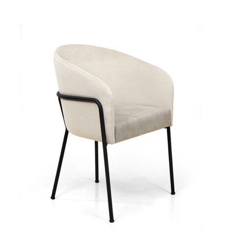 [Carrara] Carrara